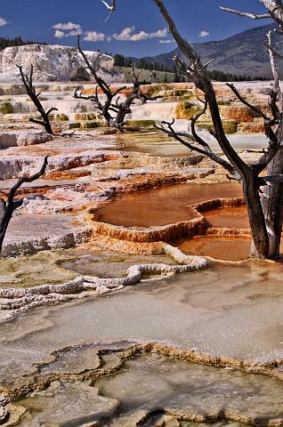 052 yellowstone, mammoth hot springs, upper terraces.JPG